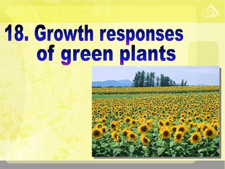 18. Growth responses of green plants.