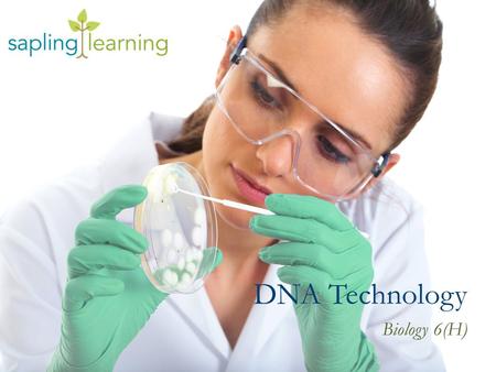 DNA Technology Biology 6(H). Learning Objectives Describe common DNA technology techniques Identify how each technique is used to study or manipulate.