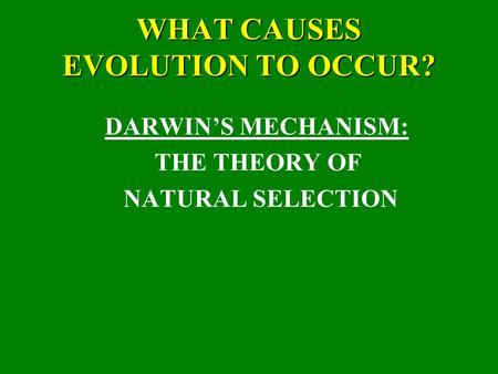 WHAT CAUSES EVOLUTION TO OCCUR? DARWIN’S MECHANISM: THE THEORY OF NATURAL SELECTION.