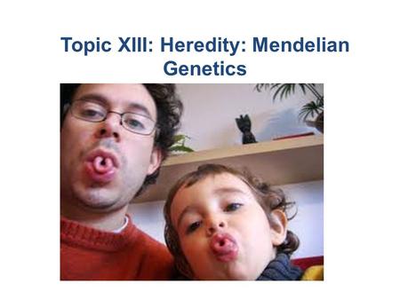 Topic XIII: Heredity: Mendelian Genetics Day 1: Lesson Objectives Explain the principles of segregation and independent assortment Identify and explain.