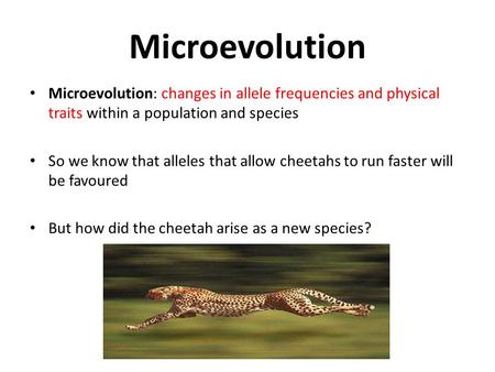 Microevolution Microevolution: changes in allele frequencies and physical traits within a population and species So we know that alleles that allow cheetahs.