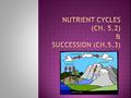  Essential for the production of:  Proteins, fats, carbohydrates  Make up all organisms  Cycle between plants and animals  Plants intake Carbon Dioxide.