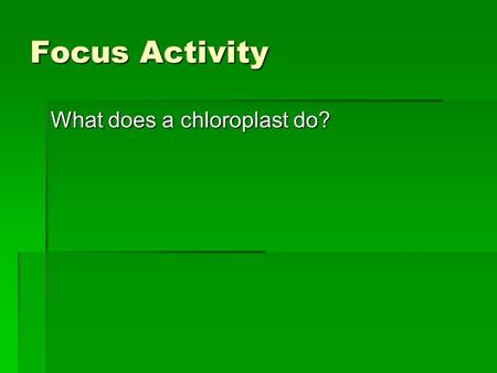 Focus Activity What does a chloroplast do?. Chapter 8 Photosynthesis.