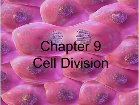 Chapter 9 Cell Division. Why do cells need to divide? Grow Repair/heal Reproduce asexually Form gametes (ie – sperm and egg)