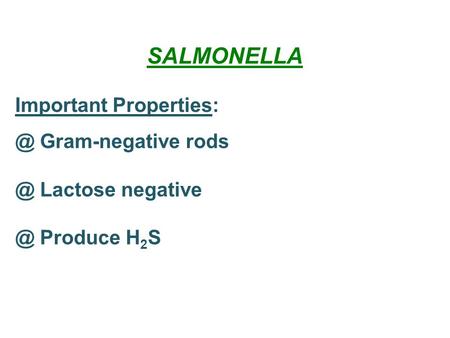 SALMONELLA Important Gram-negative Lactose Produce H 2 S.