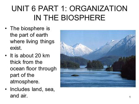 UNIT 6 PART 1: ORGANIZATION IN THE BIOSPHERE