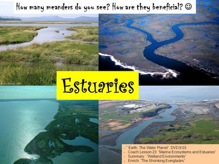 Th Estuaries How many meanders do you see? How are they beneficial? - “ Earth: The Water Planet” DVD 9:03 -Coach Lesson 23: “Marine Ecosystems and Estuaries”