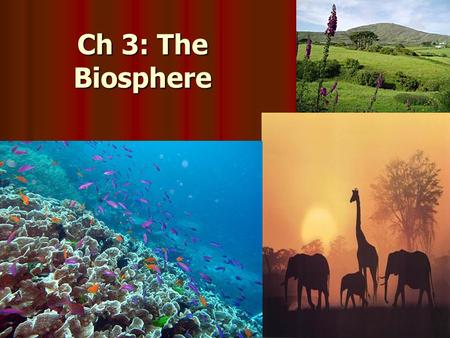 Ch 3: The Biosphere. Studying Our Living Planet Biosphere: all life on Earth and all parts of the Earth in which life exists Biosphere: all life on Earth.