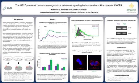 Www.postersession.com Human cytomegalovirus (HCMV) is a member of the herpesvirus family. About 70-90% of the population is infected with HCMV. In healthy.