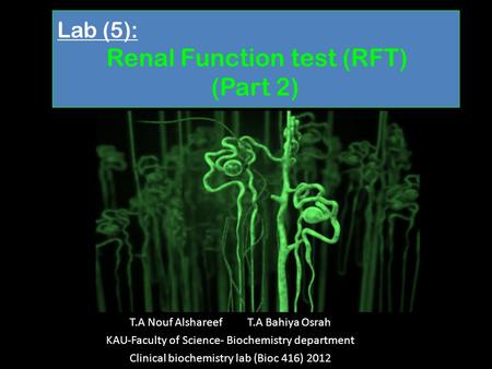 Lab (5): Renal Function test (RFT) (Part 2) T.A Nouf Alshareef T.A Bahiya Osrah KAU-Faculty of Science- Biochemistry department Clinical biochemistry lab.