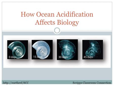 How Ocean Acidification Affects Biology Scripps Classroom Connectionhttp://earthref/SCC.