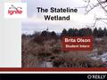 The Stateline Wetland Brita Olson Student Intern.