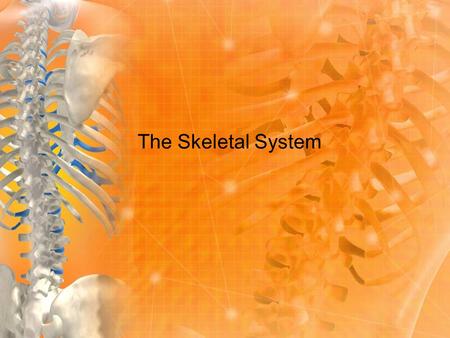 The Skeletal System. Vocabulary Skeletal System: A system made up of bones, joints, and connective tissue. Cartilage: Flexible tissue that provides cushioning.