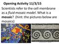 Opening Activity 11/3/15 Scientists refer to the cell membrane as a fluid mosaic model. What is a mosaic? (hint: the pictures below are mosaics)