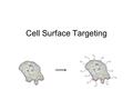 Cell Surface Targeting. Two routes Protein-protein interfaceDNA-DNA interface.