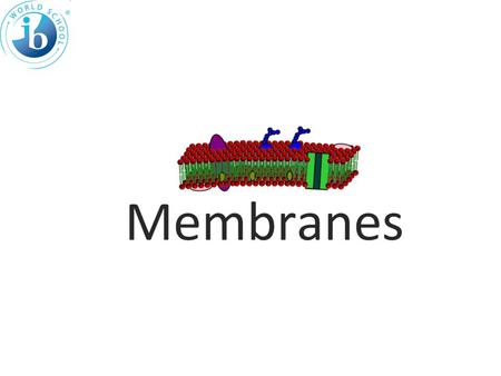 2.4 Membranes.