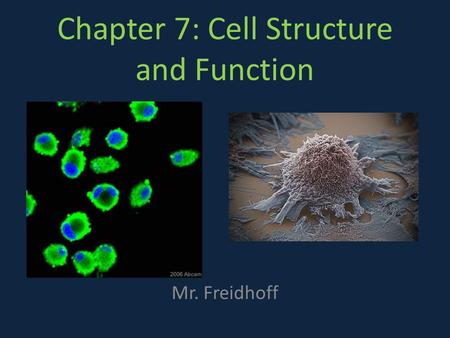 Chapter 7: Cell Structure and Function Mr. Freidhoff.