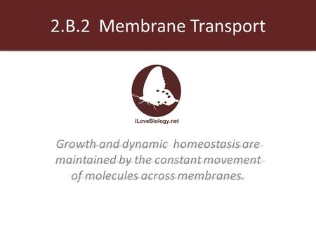 2.B.2 Membrane Transport Growth and dynamic homeostasis are maintained by the constant movement of molecules across membranes.