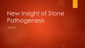 New Insight of Stone Pathogenesis SOETOJO 1. Introduction In US (2000), urinary stones insidens 116 for 100000 population 10% men and 5% women will got.