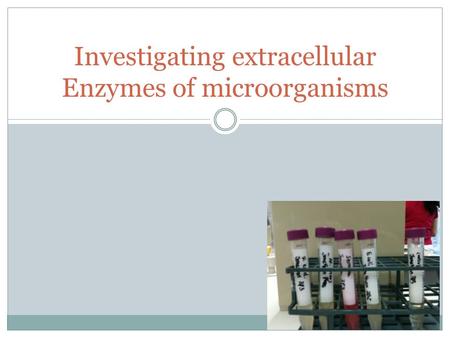 Investigating extracellular Enzymes of microorganisms.