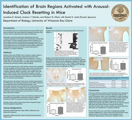 Identification of Brain Regions Activated with Arousal- Induced Clock Resetting in Mice Jonathan E. Schenk, Andrew T. Schultz, and Robert G. Olson with.