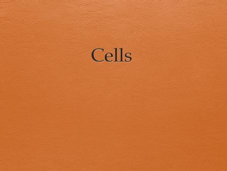 Vocabulary  Unicellular- made up of only one cell.  Multicellular- made up of more than one cell.  Cytoplasm-jelly like fluid has many chemicals that.