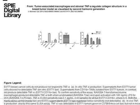 Date of download: 5/27/2016 Copyright © 2016 SPIE. All rights reserved. E0771 breast cancer cells do not produce nor respond to TNF-α. (a): In vitro TNF-α.