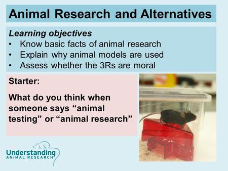 Learning objectives Know basic facts of animal research Explain why animal models are used Assess whether the 3Rs are moral Starter: What do you think.