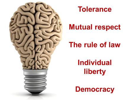 Tolerance Mutual respect The rule of law Individual liberty Democracy.