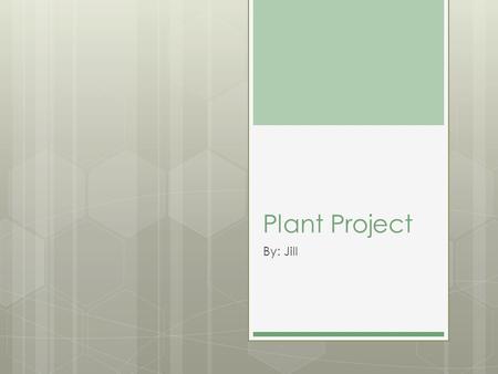 Plant Project By: Jill. How will an adjusted amount of Carbon Dioxide effect a plants growth? If my experiment works then people might be able to go live.