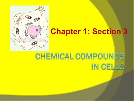 Chapter 1: Section 3. What are Elements and Compounds?  Element – any substance that cannot be broken down into simpler substances.