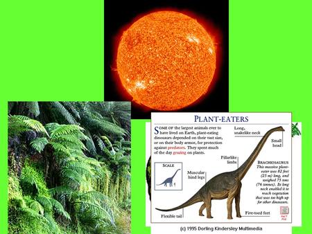 The _______ Cycle Photosynthesis Cellular Respiration.