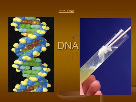 DNA Intro: DNA. Background Information: It is important to recall from the information from unit C about DNA. The acronym DNA stands for Deoxyribonucleic.