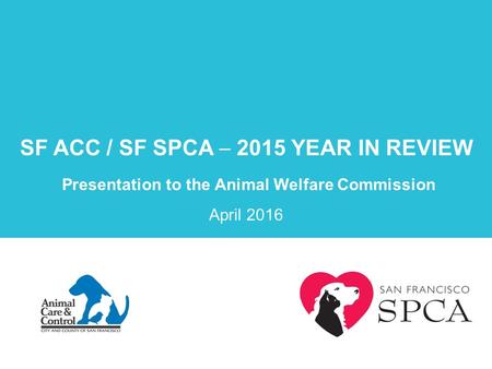 Page 0 SF ACC / SF SPCA  2015 YEAR IN REVIEW Presentation to the Animal Welfare Commission April 2016.