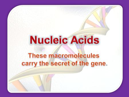 DNA stands for Also known as “the double helix” The 5-carbon sugar may be different in other nucleic acids. The sugar in DNA is deoxyribose.