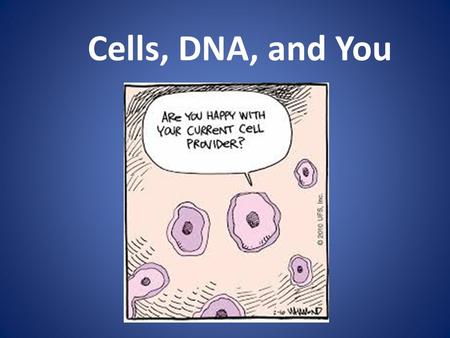 Cells, DNA, and You. Basic Cell Structures Cells come in many shapes and sizes. Despite differences in cell size and shape, certain structures are common.