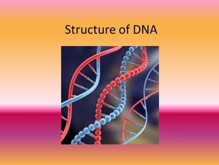 Structure of DNA. DNA The nucleic acid that stores and transmits genetic information of a cell from one generation to the next Nucleic = in the nucleus!