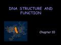 DNA STRUCTURE AND FUNCTION Chapter 10. Identification of the Genetic Material Griffith’s Experiment Griffith’s Experiment: What made R strain into live.