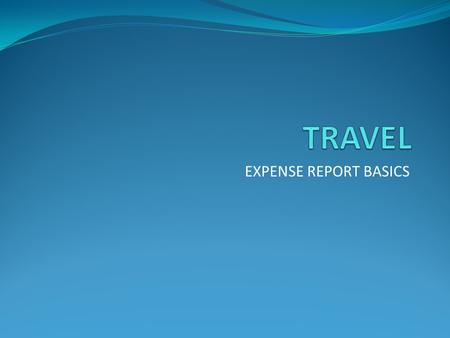 EXPENSE REPORT BASICS. GENERAL TRIP DATA Correspond dates and times with airfare flight times, allowing no more than 2 hours prior to departure and 1.