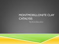 MONTMORILLONITE CLAY CATALYSIS By: Aimee Beaudette.