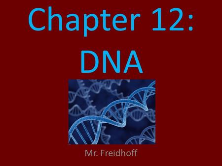 Chapter 12: DNA Mr. Freidhoff 1900’s What is known to man? – Chromosomes carry genetic information. – Some type of heredity is passed on to offspring.