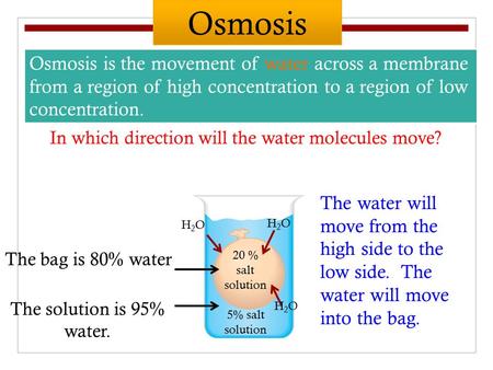 Osmosis is the movement of water across a membrane from a region of high concentration to a region of low concentration. 20 % salt solution 5% salt solution.