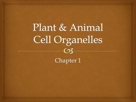 Chapter 1.  Centrosome Function  Organization center for microtubules and provide structure for the cell.  Both.