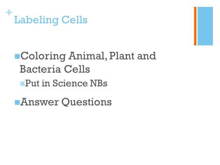 + Labeling Cells Coloring Animal, Plant and Bacteria Cells Put in Science NBs Answer Questions.