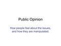 Public Opinion How people feel about the issues, and how they are manipulated.