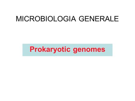 MICROBIOLOGIA GENERALE Prokaryotic genomes. The prokaryotic genome.