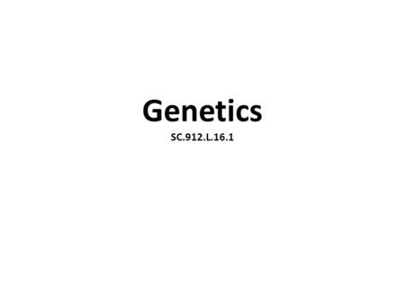 Genetics SC.912.L.16.1. In human eye color, B represents the dominant brown eye gene and b represents the recessive blue eye gene. If two parents have.