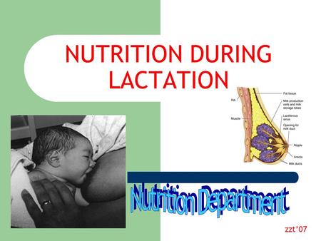 NUTRITION DURING LACTATION zzt’07. In-Hospital Breastfeeding Rates (US, 2001) Healthy People 2010 Goal.