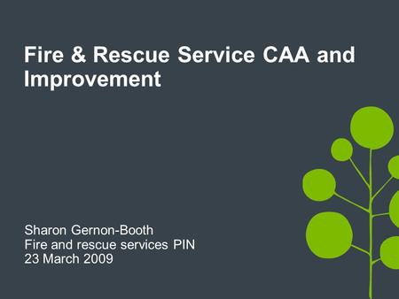 Fire & Rescue Service CAA and Improvement Sharon Gernon-Booth Fire and rescue services PIN 23 March 2009.