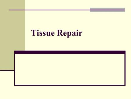 Tissue Repair.